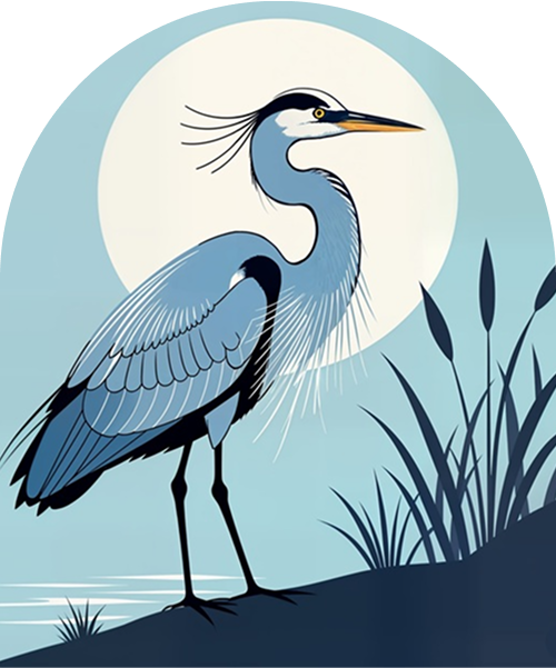 lymphatic drainage massage oregon